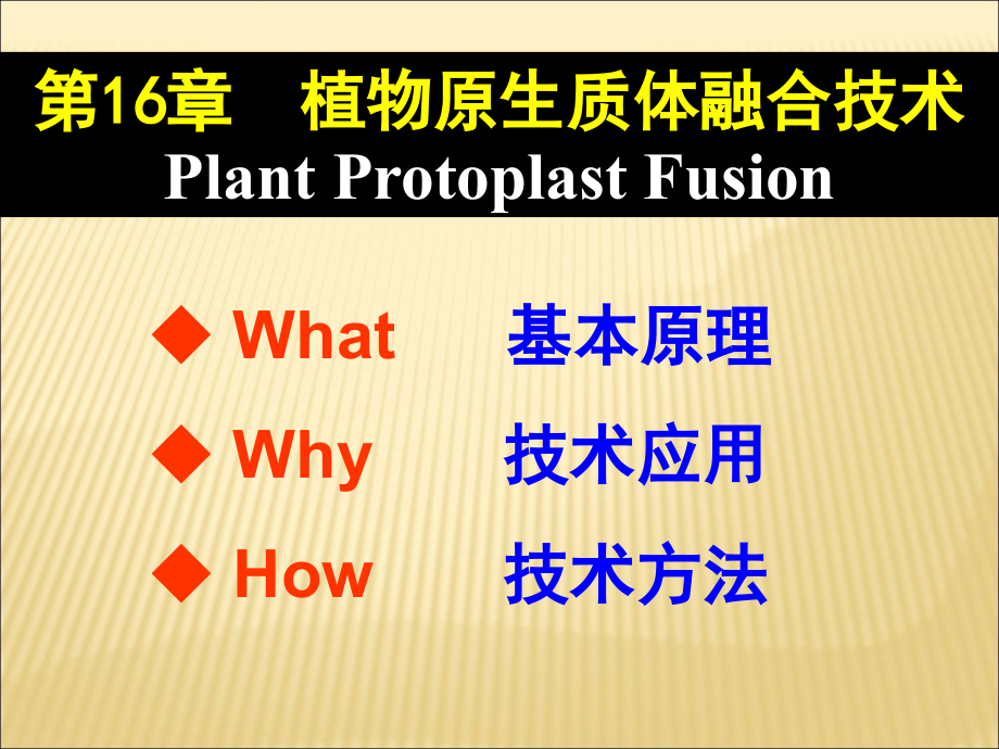 植物原生质体融合技术课件_第1页