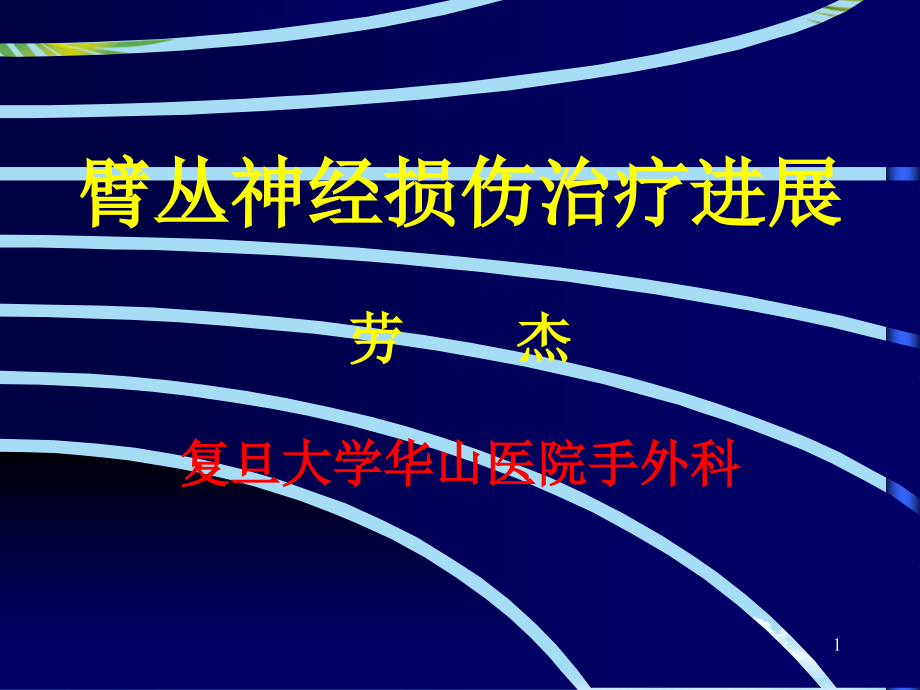 臂丛神经损伤治疗进展劳杰课件_第1页