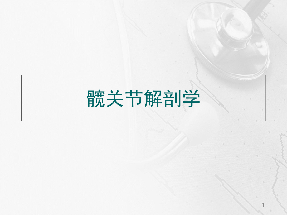 髋关节解剖学演示课件_第1页