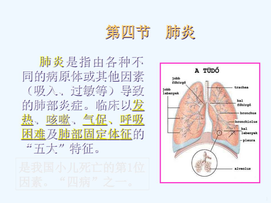 肺炎是指由各种不同的病原体或其他因素吸入过敏等导致的肺解析课件_第1页