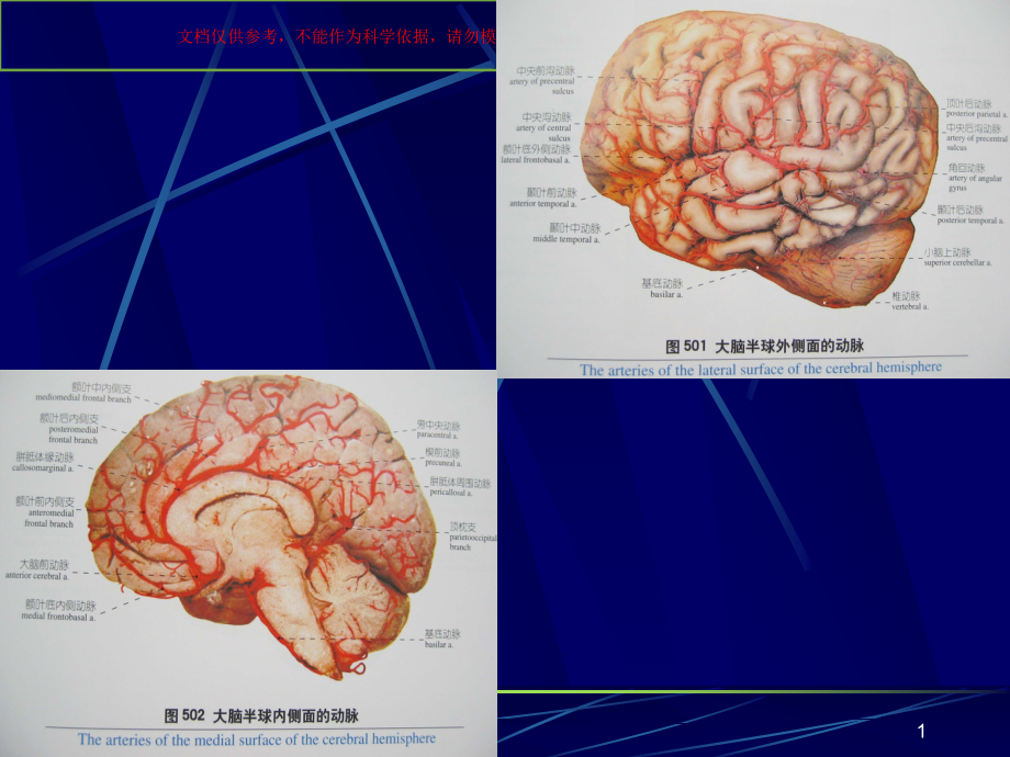 老年痴呆的临床表现和治疗护理ppt课件_第1页