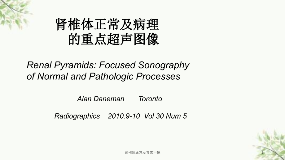 肾椎体正常及异常声像ppt课件_第1页