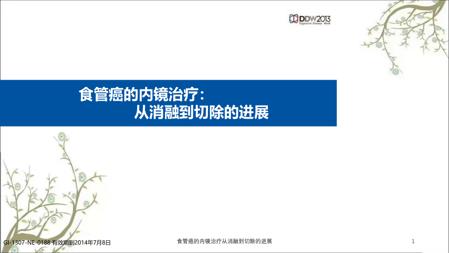 食管癌的内镜治疗从消融到切除的进展ppt课件_第1页