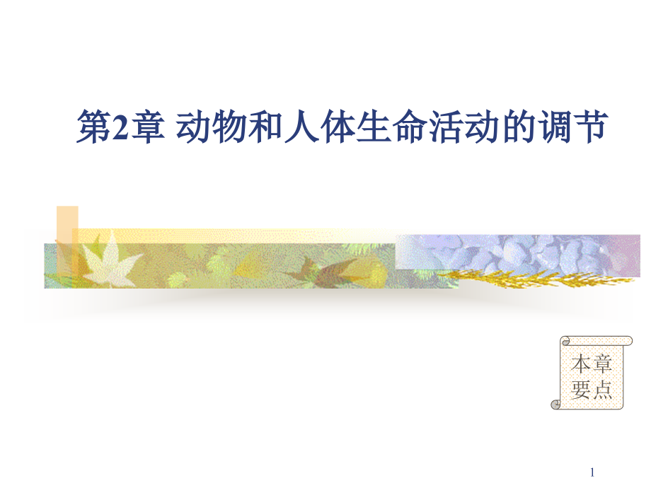 通过神经系统的调节演示 课件_第1页