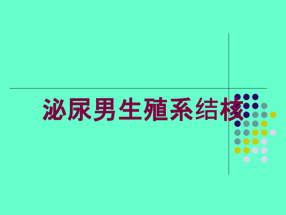 泌尿男生殖系结核培训课件1_第1页