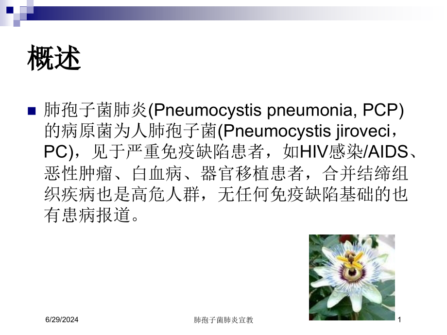 肺孢子菌肺炎宣教培训ppt课件_第1页