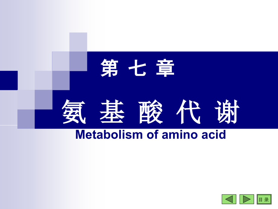 氨基酸代谢-课件_第1页