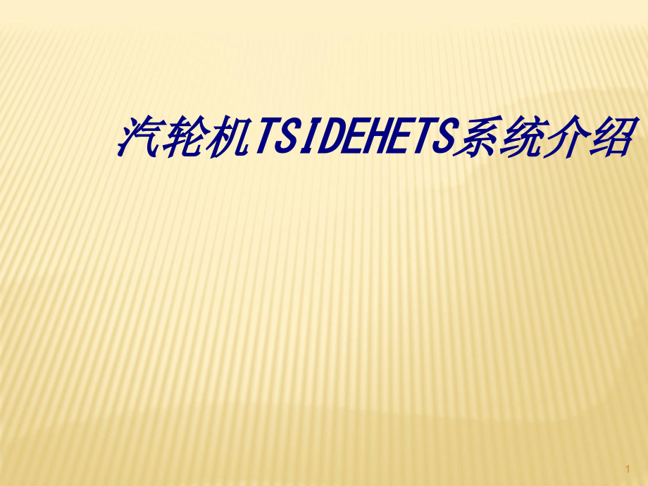 汽轮机TSIDEHETS系统介绍专题培训课件_第1页