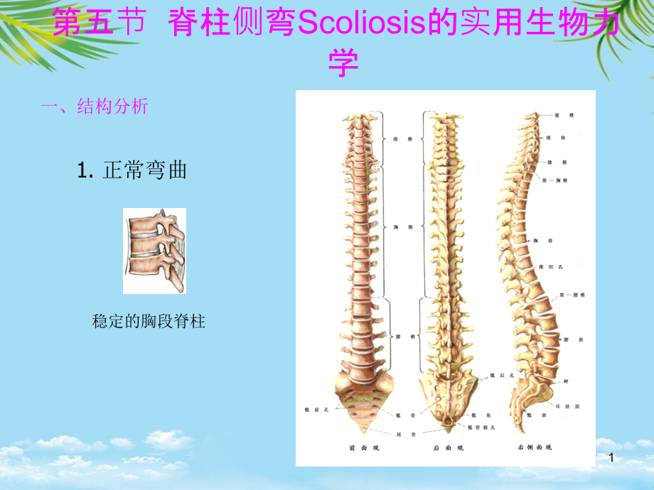 脊柱侧弯Scoliosis的实用生物力学课件_第1页