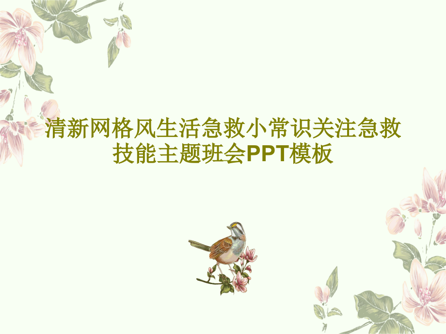 清新网格风生活急救小常识关注急救技能主题班会模板教学课件_第1页