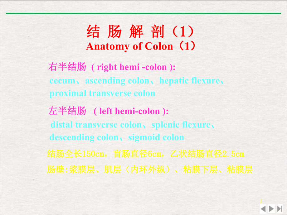 结直肠肿瘤实用版课件_第1页