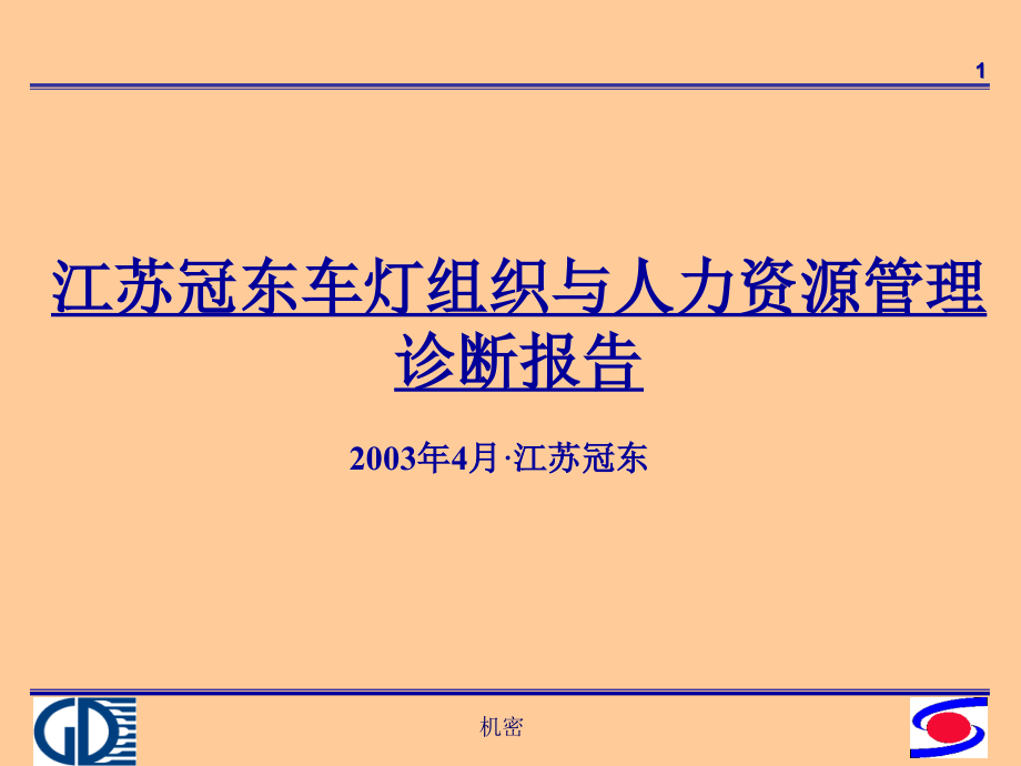 江苏冠东车灯组织与人力资源管理诊断报告课件_第1页