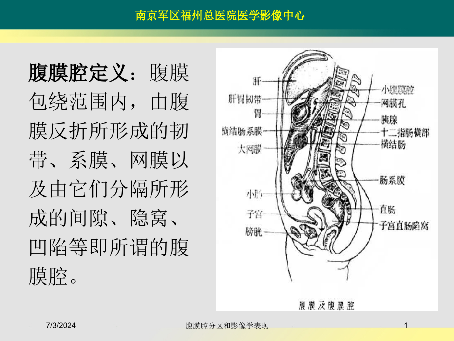 腹膜腔分区和影像学表现培训ppt课件_第1页