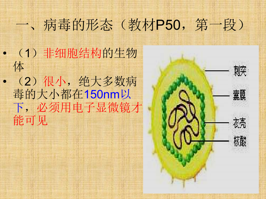 滬科版生命科學(xué)高一上3-3《非細(xì)胞形態(tài)的生物——病毒》課件3_第1頁