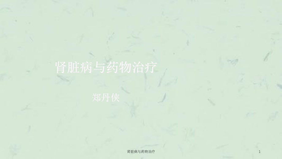 肾脏病与药物治疗ppt课件_第1页