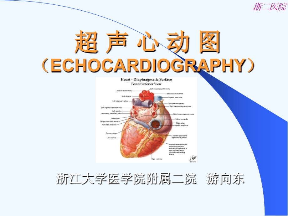 超声心动图(心瓣膜病)课件_第1页