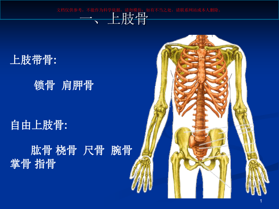 附肢骨知识医学知识ppt课件_第1页