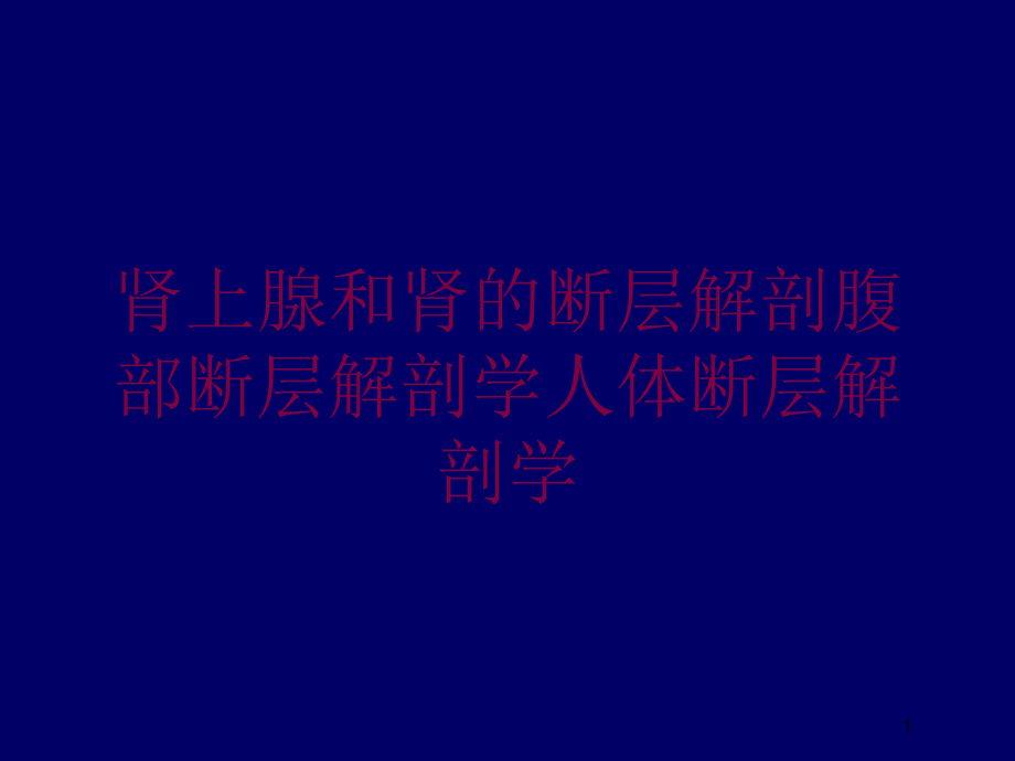 肾上腺和肾的断层解剖腹部断层解剖学人体断层解剖学培训ppt课件_第1页