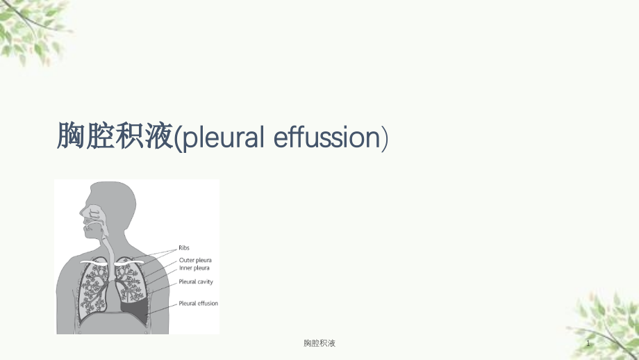 胸腔积液ppt课件_第1页