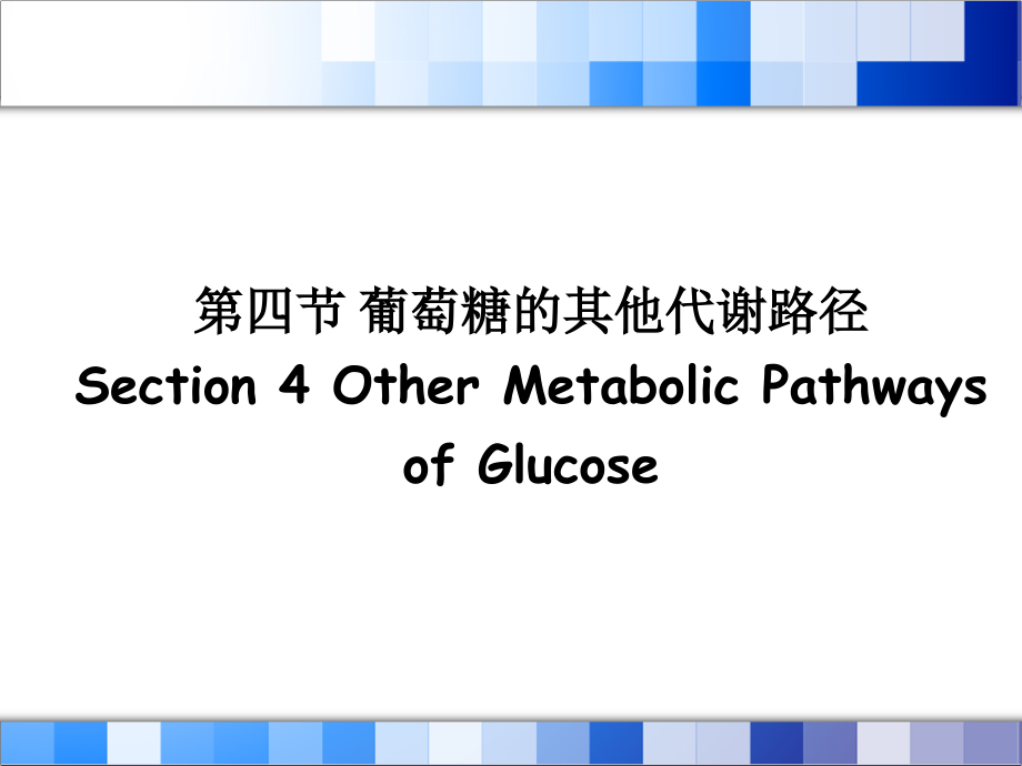 葡萄糖的其他代谢路径课件_第1页