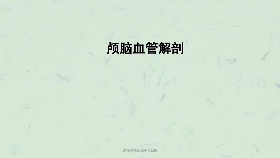 脑血管断层解剖及MRIppt课件_第1页