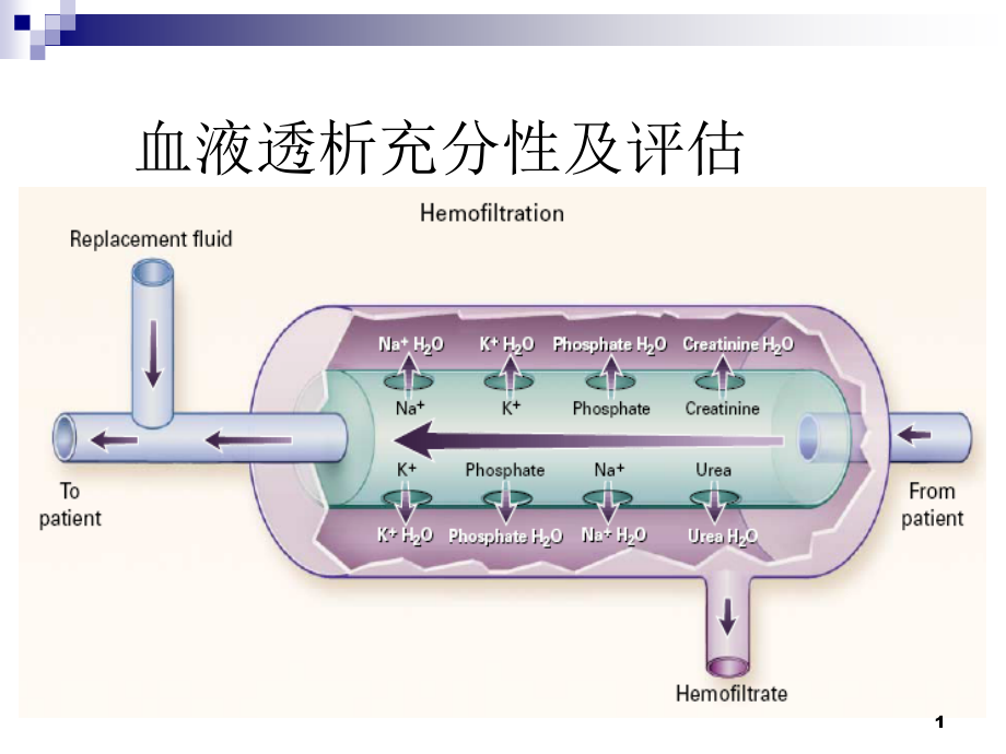 血液透析充分性课件_第1页