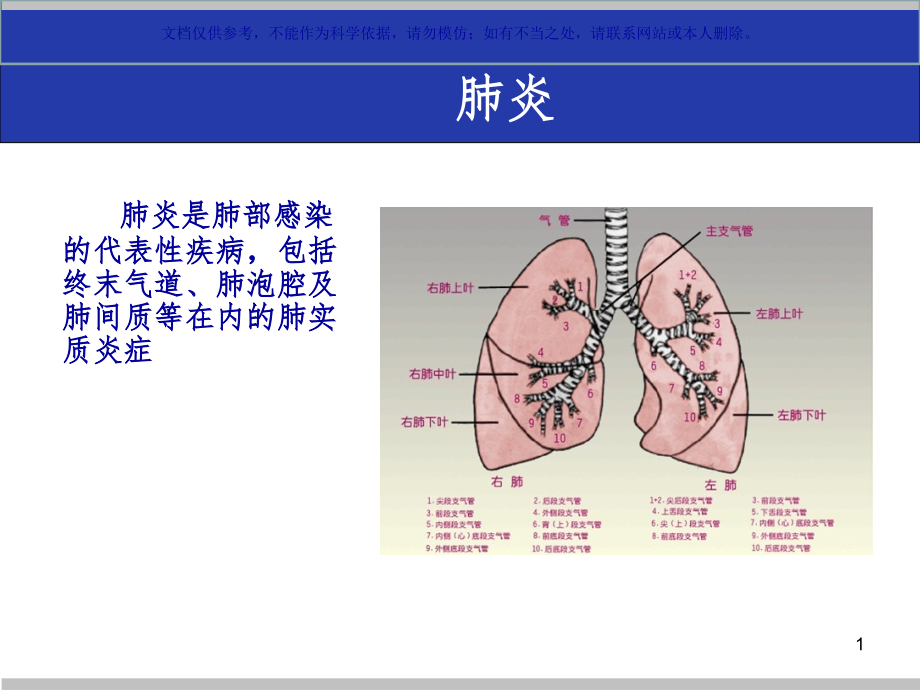 肺部感染专业医学知识宣讲ppt课件_第1页