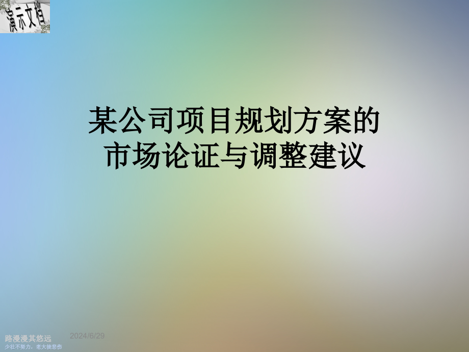 某公司项目规划方案的市场论证与调整建议课件_第1页