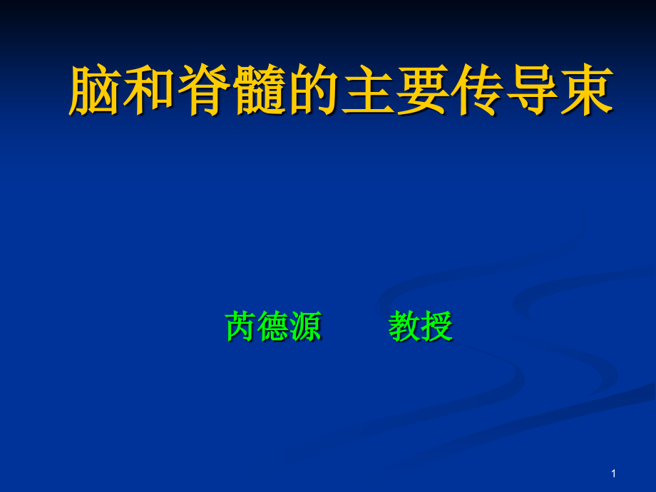 脑和脊髓的主要传导束-课件_第1页