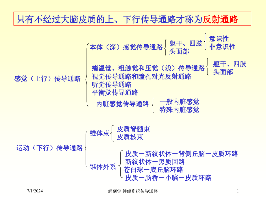 解剖学-神经系统传导通路培训ppt课件_第1页