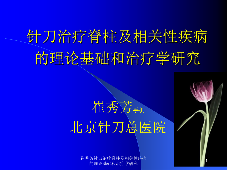 针刀治疗脊柱及相关性疾病的理论基础和治疗学研究ppt课件_第1页