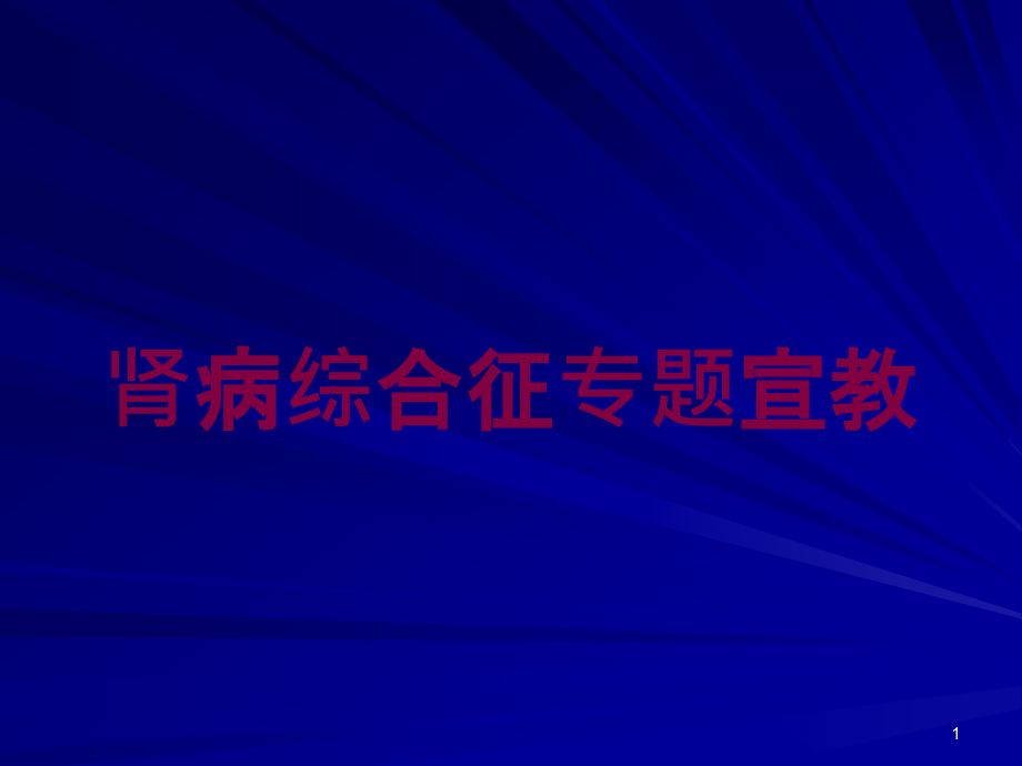 肾病综合征专题宣教培训ppt课件_第1页