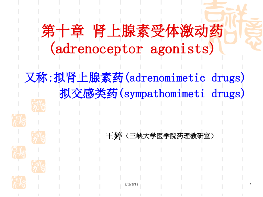 肾上腺素激动药和阻断药(专业研究)课件_第1页