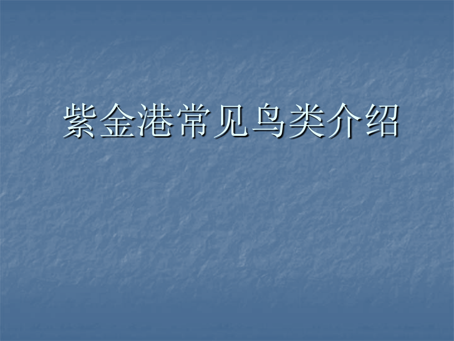 浙大紫金港常见鸟类介绍课件_第1页