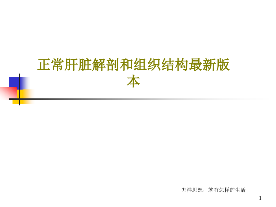 正常肝脏解剖和组织结构最新版本课件_第1页