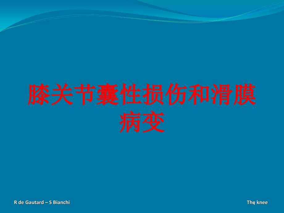 膝关节囊性损伤和滑膜病变培训ppt课件_第1页