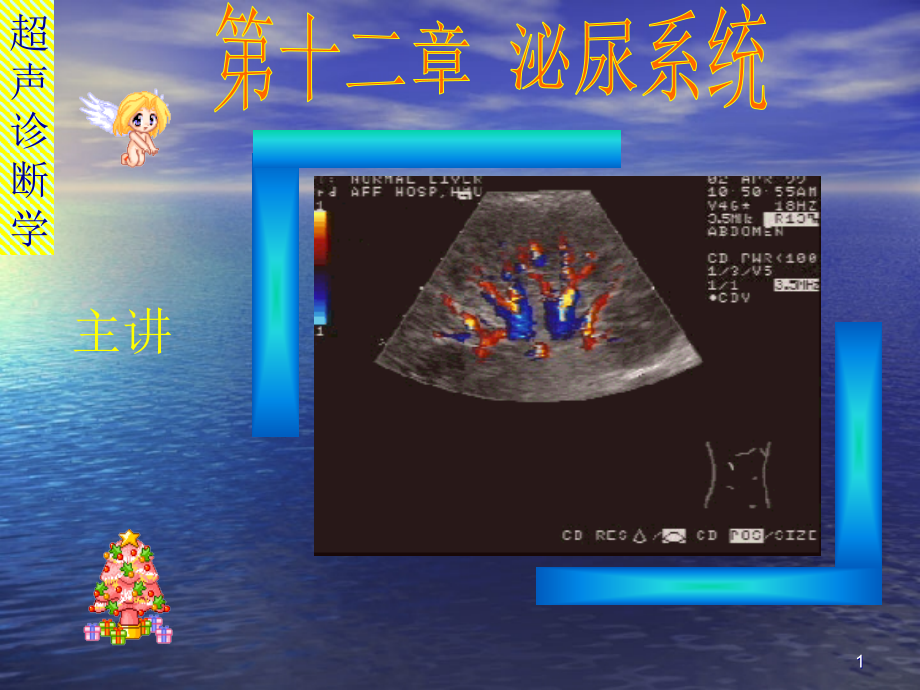 超声诊断学肾脏解剖肾积水肾囊肿-课件_第1页