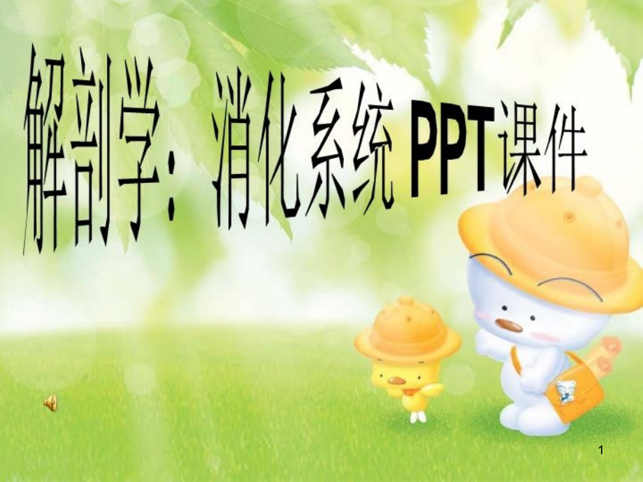 解剖学消化系统ppt课件_第1页