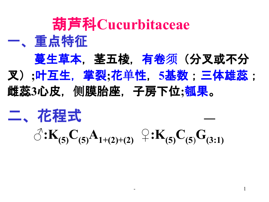 植物学葫芦科-课件_第1页