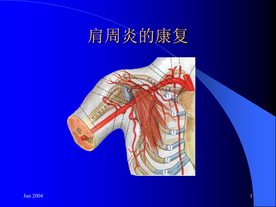 肩周炎康复课件_第1页