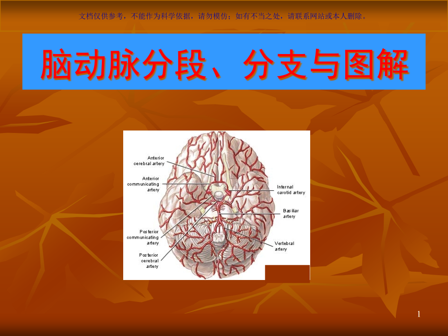 脑血管解剖图解专题宣讲ppt课件_第1页