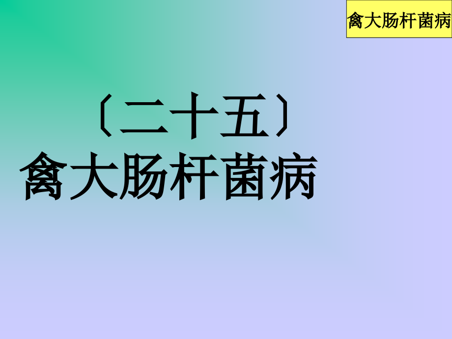 课件禽病学（完整版）25禽大肠杆菌病_第1页