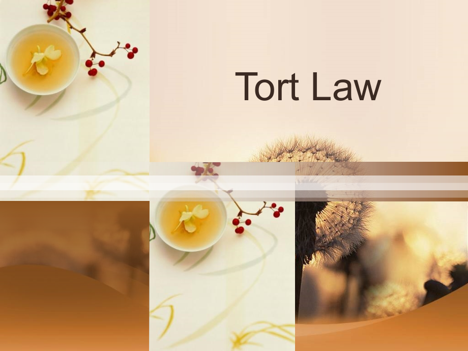 沙丽金版法律英语Tort-Law-课件_第1页