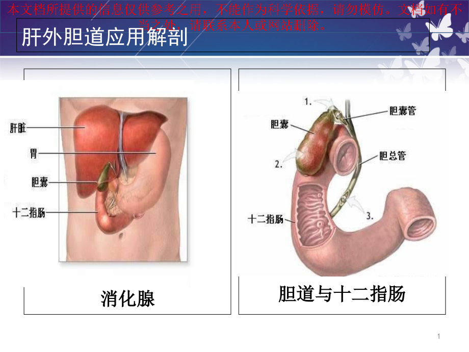 胆囊切除术护理查房培训ppt课件_第1页