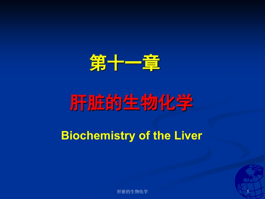 肝脏的生物化学ppt课件_第1页