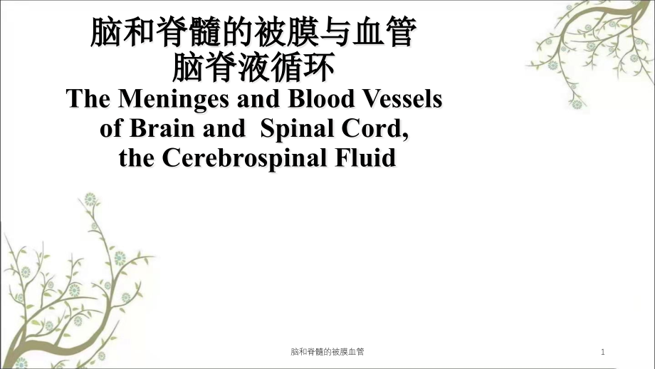 脑和脊髓的被膜血管ppt课件_第1页