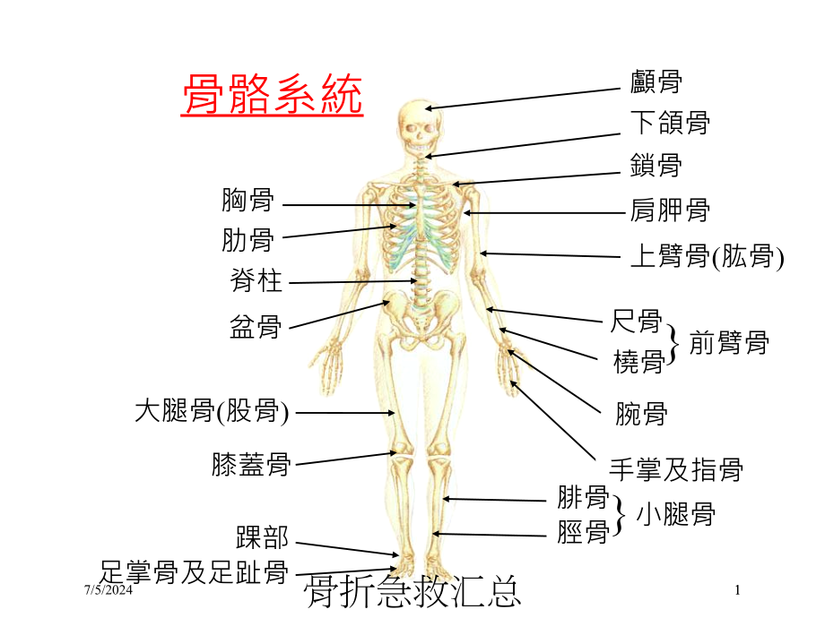 骨折急救汇总培训ppt课件_第1页