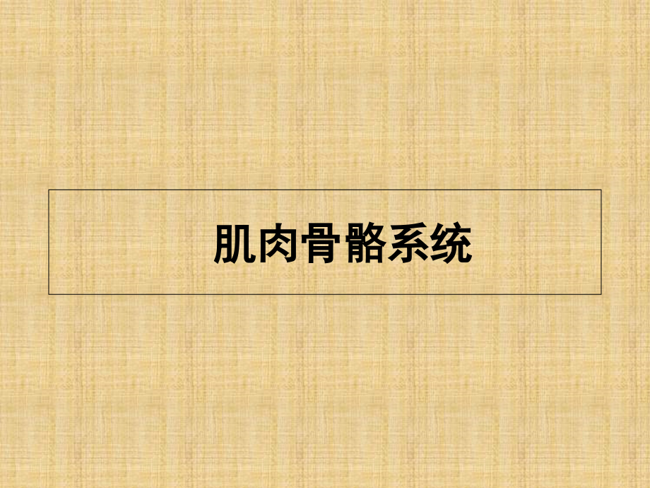 肌肉骨骼疾病超声诊断学习课件_第1页