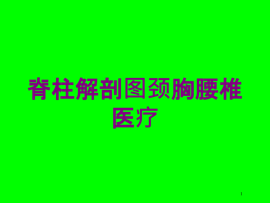 脊柱解剖图颈胸腰椎医疗培训ppt课件_第1页