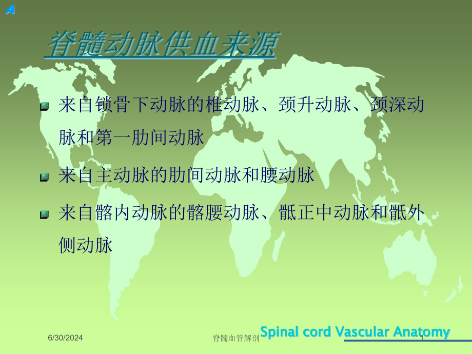 脊髓血管解剖培训ppt课件_第1页